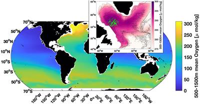 Decadal variability of oxygen uptake, export, and storage in the Labrador Sea from observations and CMIP6 models